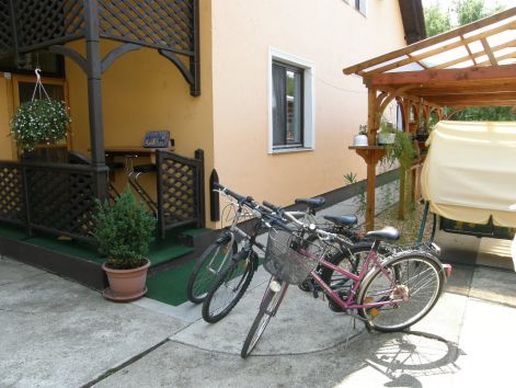 p6282233.jpg